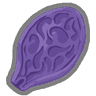 Ghost Seed